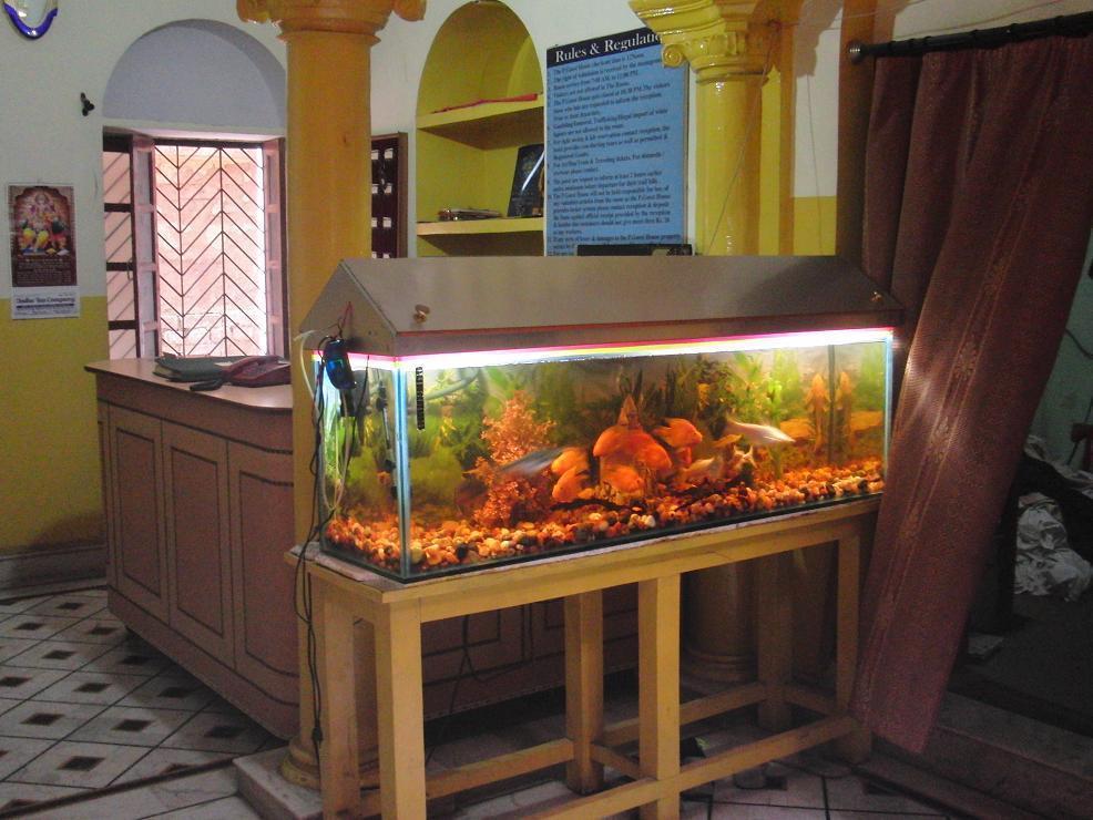 Shivakashi Guest House Варанасі Екстер'єр фото